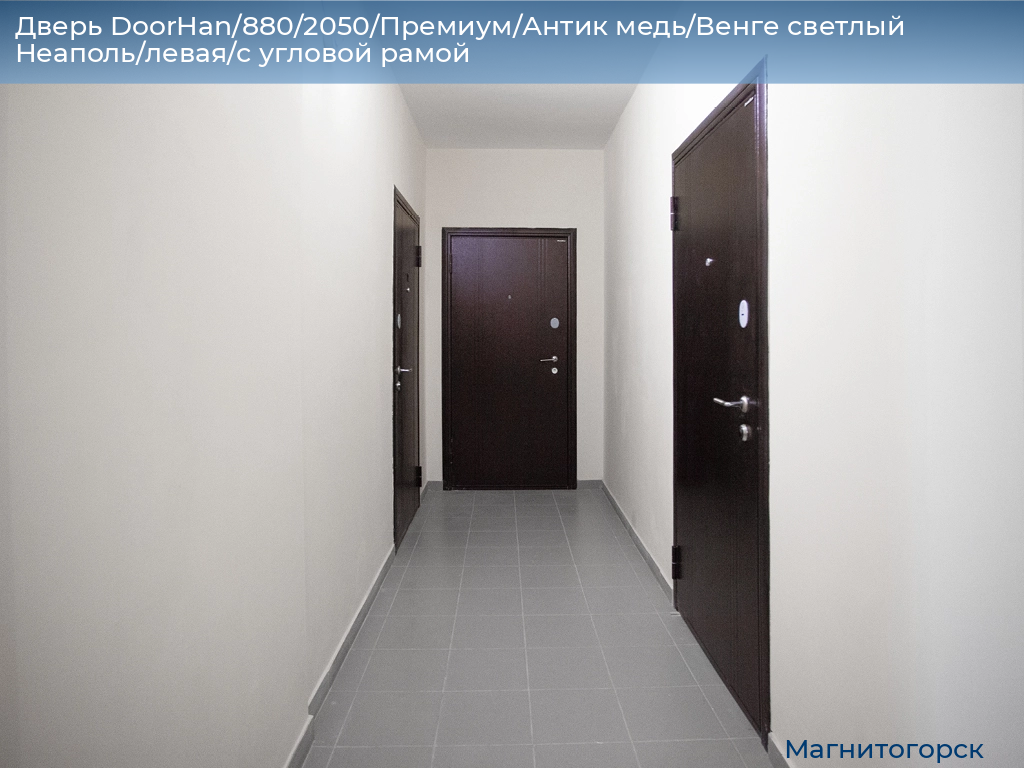 Дверь DoorHan/880/2050/Премиум/Антик медь/Венге светлый Неаполь/левая/с угловой рамой, magnitogorsk.doorhan.ru